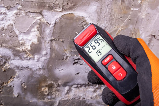 Best Office Mold Removal Services  in Jones Creek, TX
