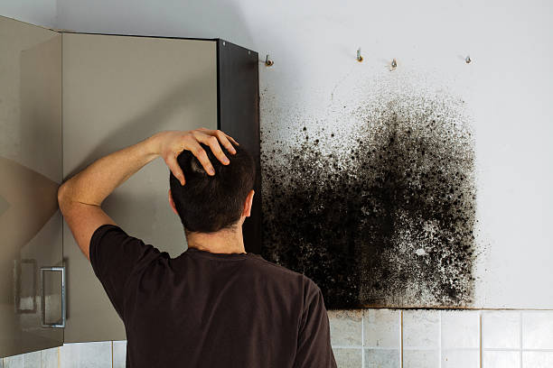 Best Local Mold Removal Service  in Jones Creek, TX